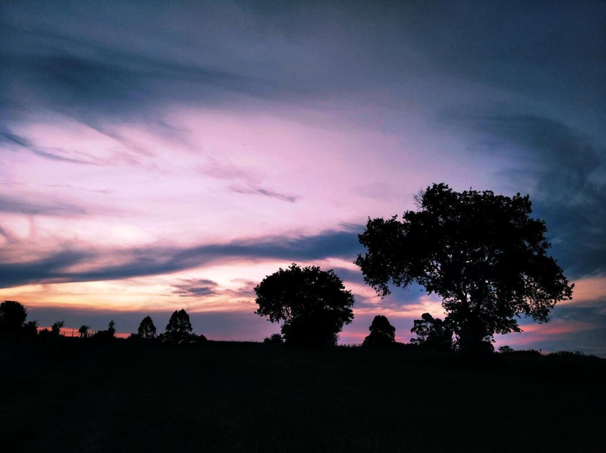 Albergue Casa Vacas Carriazo Zewnętrze zdjęcie